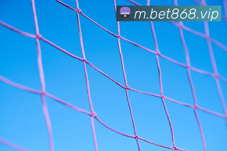 bet365comAPP 封面图